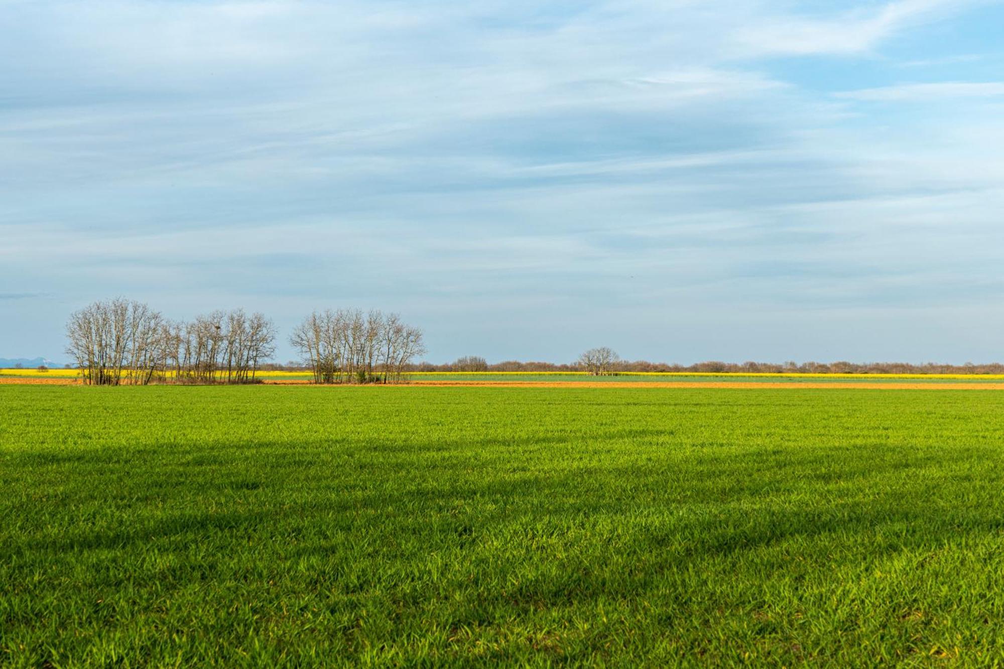 Descubre La Cepedana: Casa Rural Con Encanto En Cogorderos, A Solo 10 Km De Astorga Eksteriør bilde
